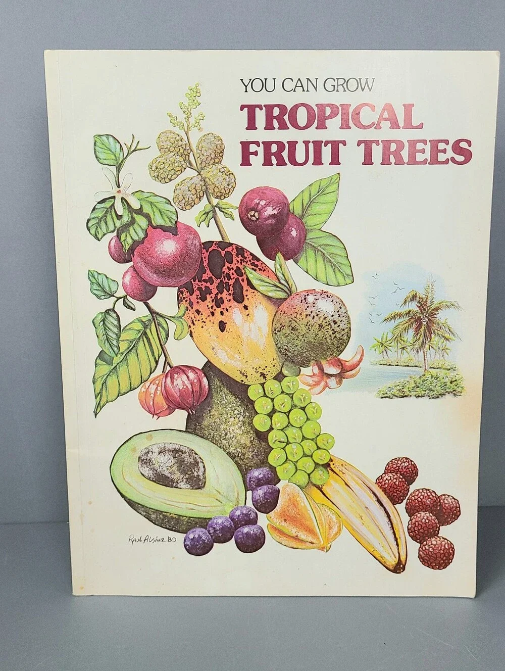 You Can Grow Tropical Fruit Trees Robert H. Mohlenbrock 1980 Vintage Book